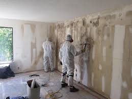 Best Mold Odor Removal Services  in Caney, KS